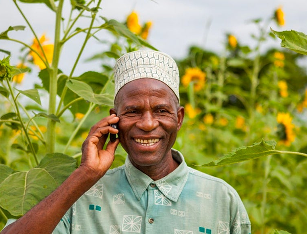 agriculture
