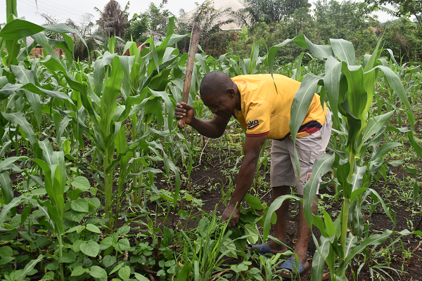 LAPO Rural Development Initiative