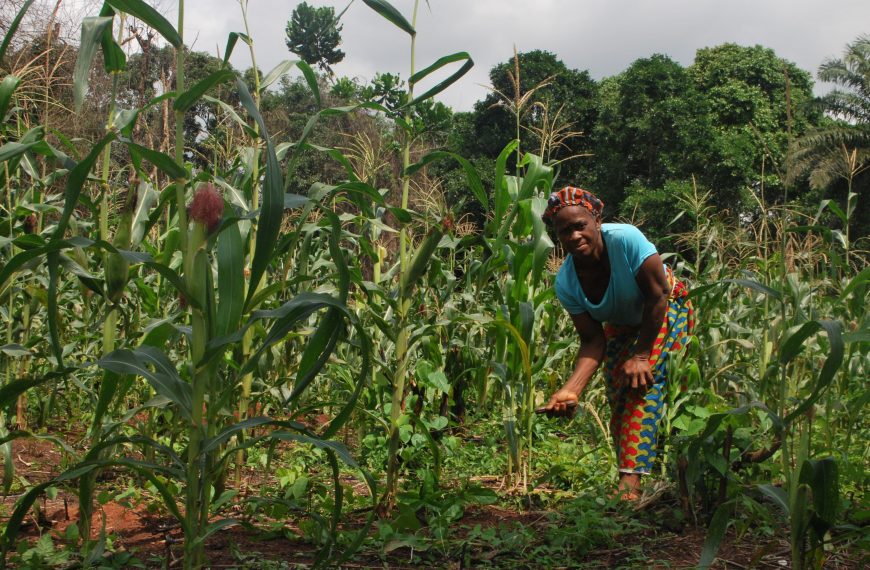 194,087 Rural Farmers, Others Supported With N2.2bn